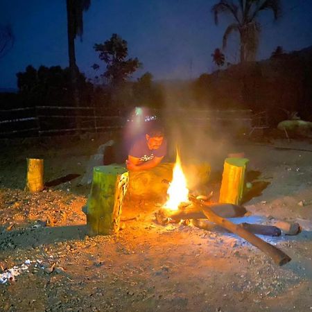 Rohan Homestay By Traviget Hospitality, Dapoli-Konkan Harnai エクステリア 写真